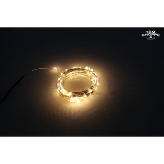 Dây đèn Led đom đóm Fairy Light 10m cổng USB (nhiều màu chọn) TTTM