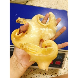 Vi cá khô (Vi cá mập  lớn 100g) 3-4vi