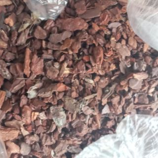 1kg vỏ thông nhỏ đã qua xử lý