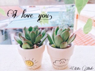 Chậu cây sen đá mini gốm trắng ( 25k)