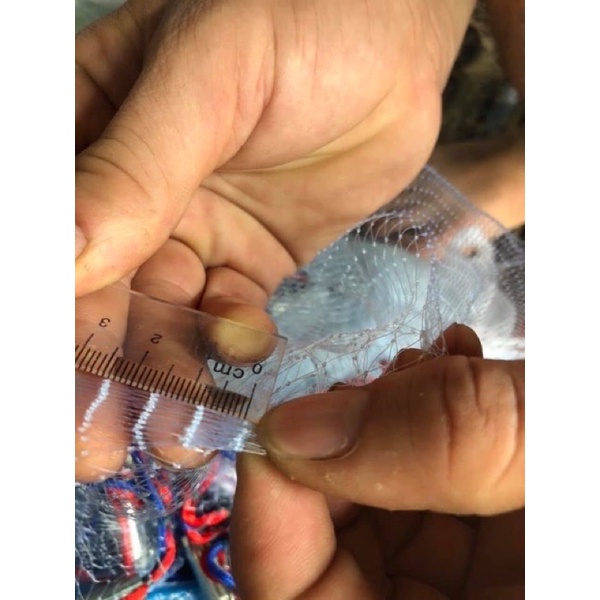 chài cước tép chì đúc mắt lưới 1,5cm hàng loại 1 nhập tại thái lan chài siêu bền siêu đẹp y hình vip bdshad8