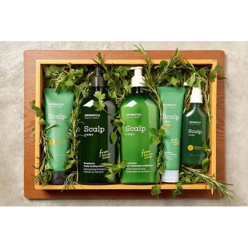 DẦU GỘI CHĂM SÓC DA DẦU HƯƠNG THẢO AROMATICA