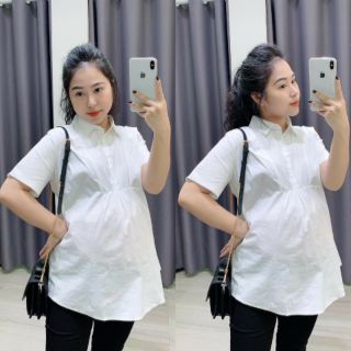 Áo bầu công sở