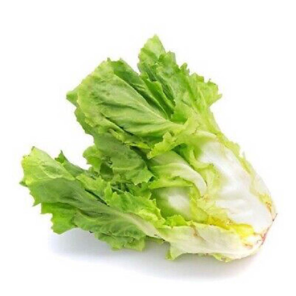 Xà lách Carol (1kg)