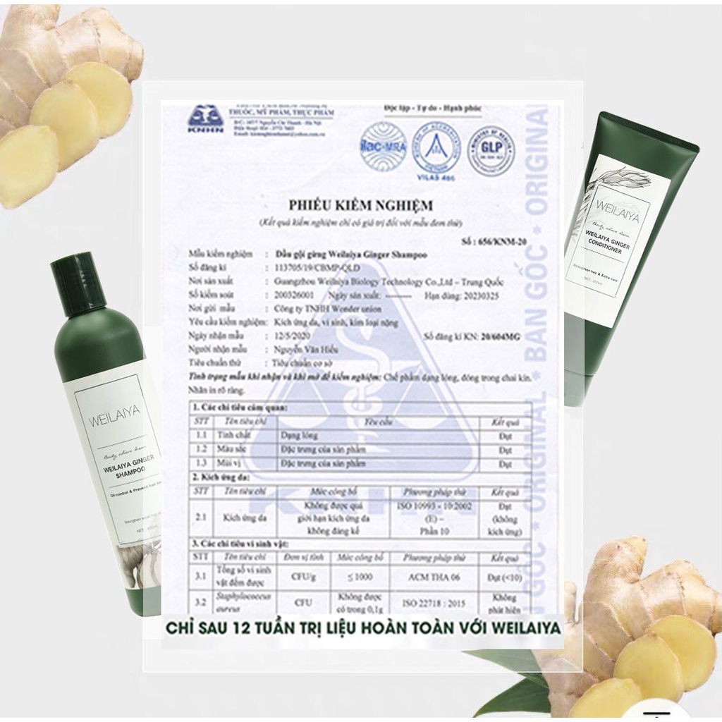 Bộ Gội Xả Chiết Xuất Tinh Chất Gừng Hỗ Trợ Mọc Tóc Ngăn Rụng Tóc Cho Da Đầu Dầu Weilaiya Chính Hãng