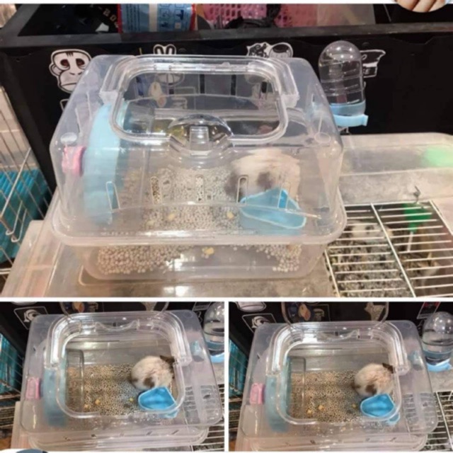 Lồng xách tay mini