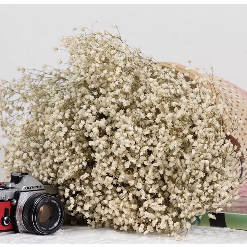 Hoa Baby Trắng Ngà Vintage-Bó Mini, Hoa baby khô, decor trang trí nhà cửa
