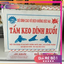 Combo 10 tấm dính ruồi - độ dính cao vô địch không độc hại Giá Rẻ