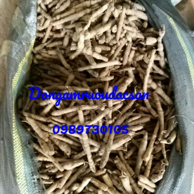 Sâm cau đen rừng( Sâm tiên mao) 1kg