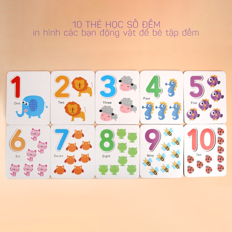 [FreeShip - Sale Khủng] Dụng Cụ Học Tập Bộ 10 Thẻ Số, 100 Que Tính, Phép Tính Cho Bé Học Toán Như Siêu Trí Tuệ Việt Nam