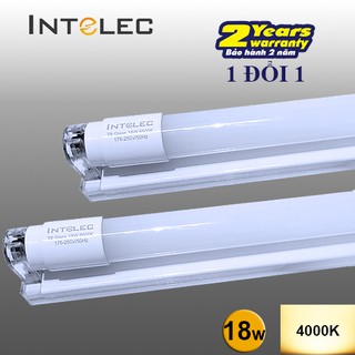 Combo 2 bộ đèn led tuýp kèm máng đơn, ánh sáng trung tính