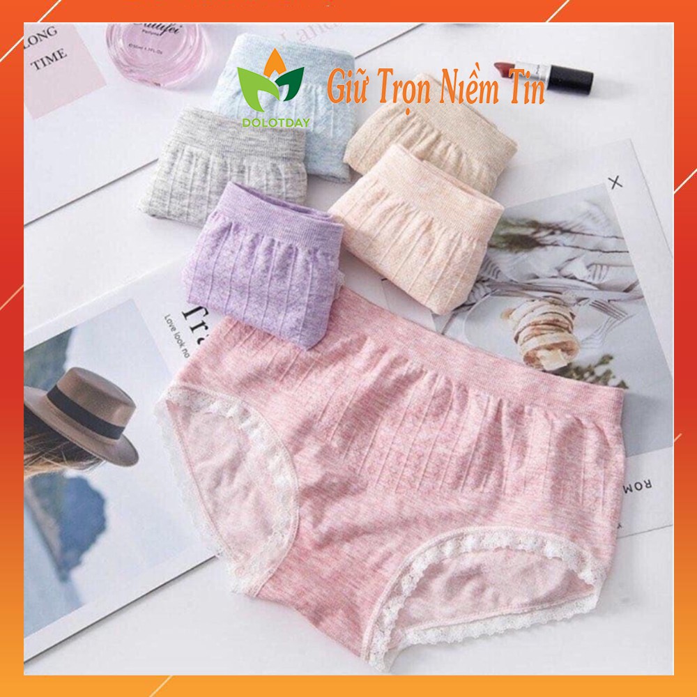 Quần Lót Nữ. Quần Lót Cotton Trơn đáy kháng khuẩn Mềm Thấm Thoáng hàng việt nam LOTNU05