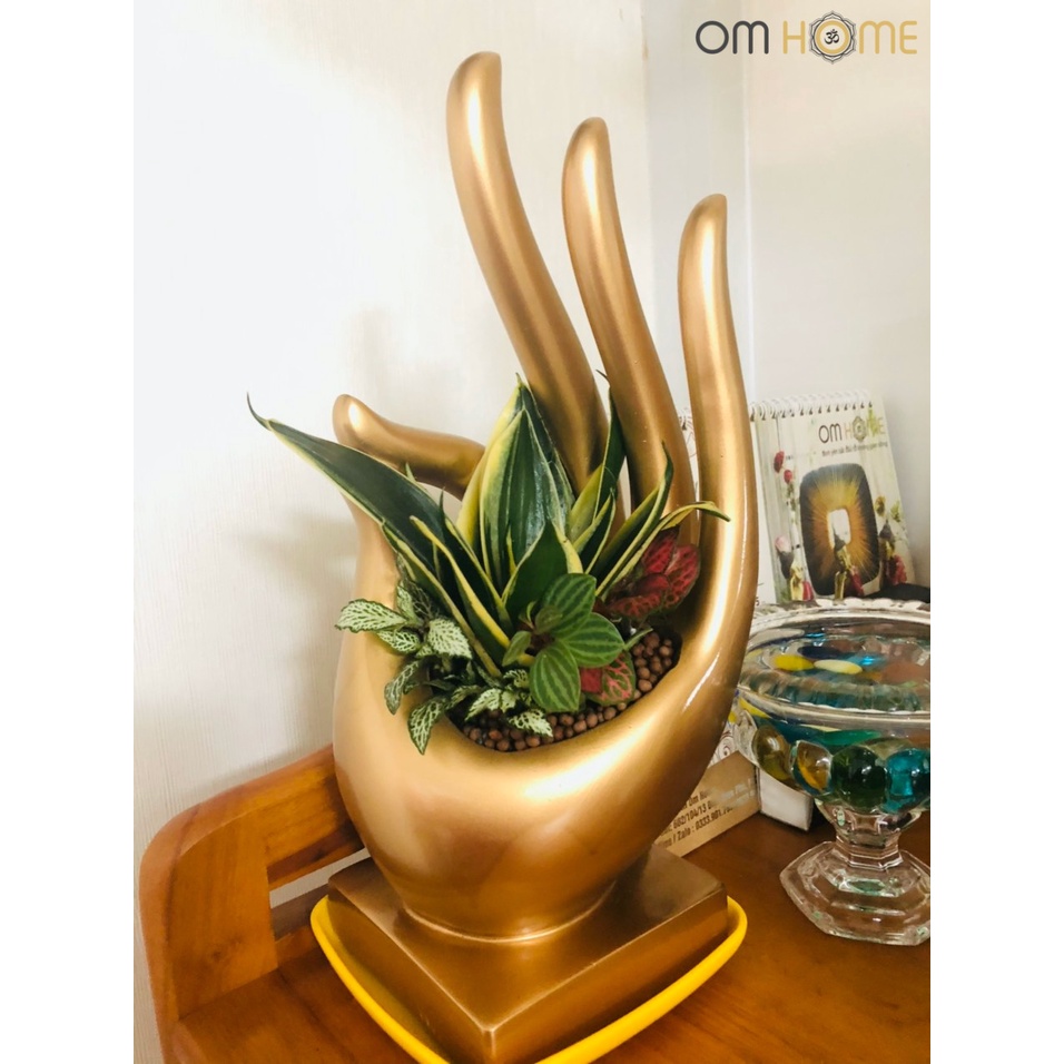 Ấn Vô Úy Có Cây Om Home
