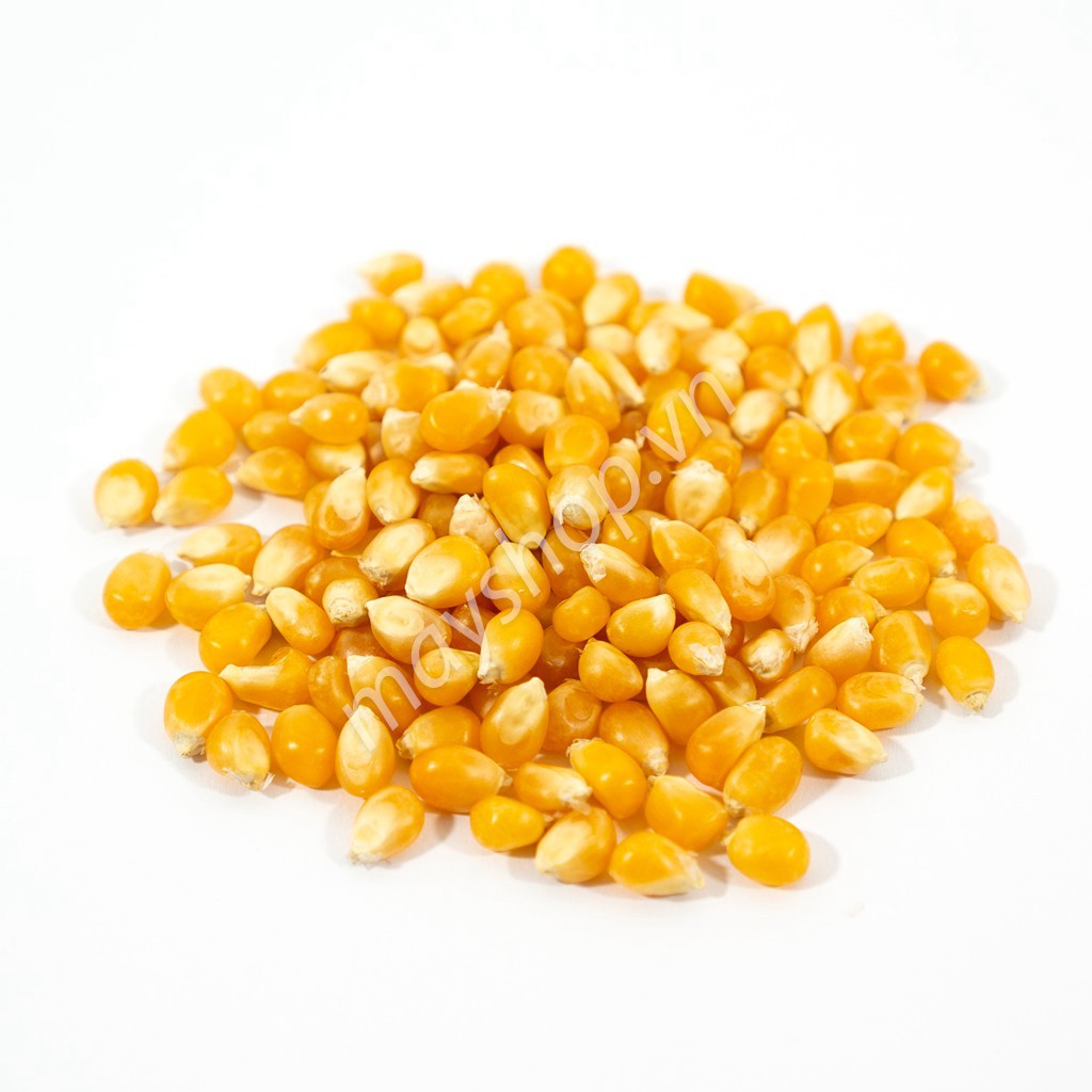 Ngô nổ Popcorn Mỹ (500g) - AnShop