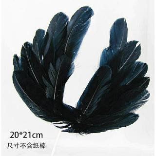 Trang trí Cánh thiên thần đen