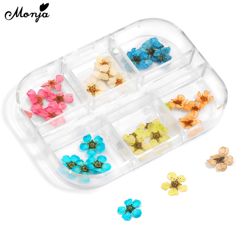 [Hàng mới về] Hoa khô 3d nhiều màu trang trí móng tay nghệ thuật Monja