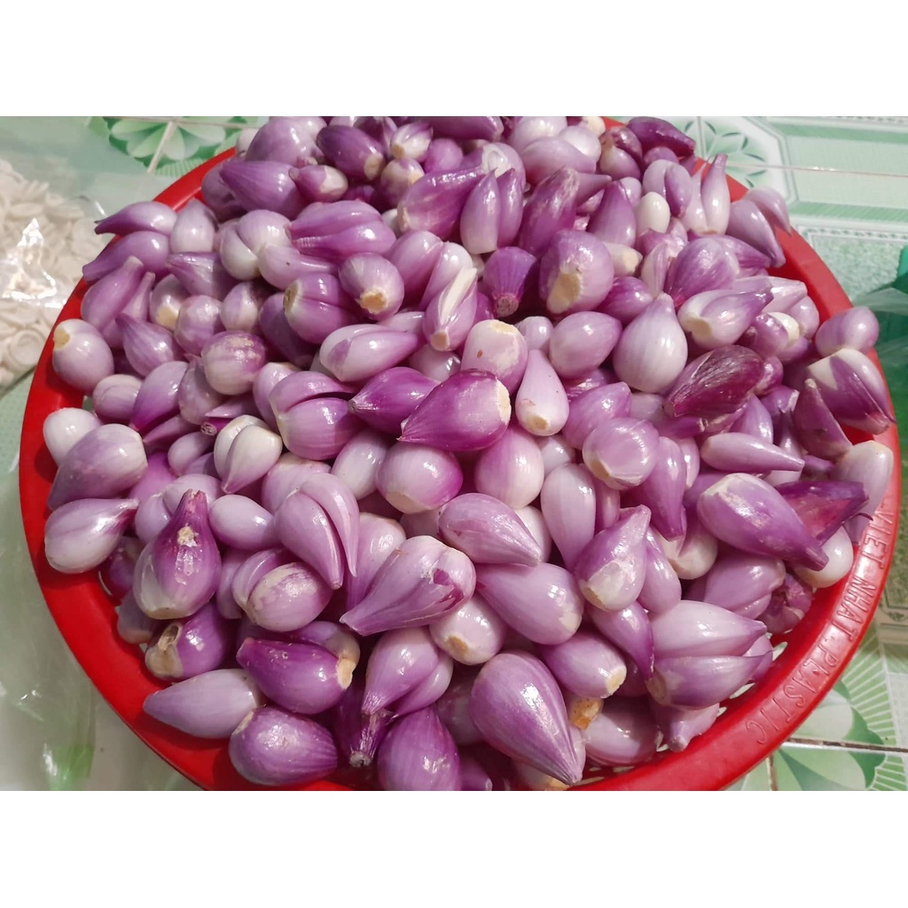 Hành LÝ SƠN Tách Vỏ Hút Chân Không - Gói 500gr