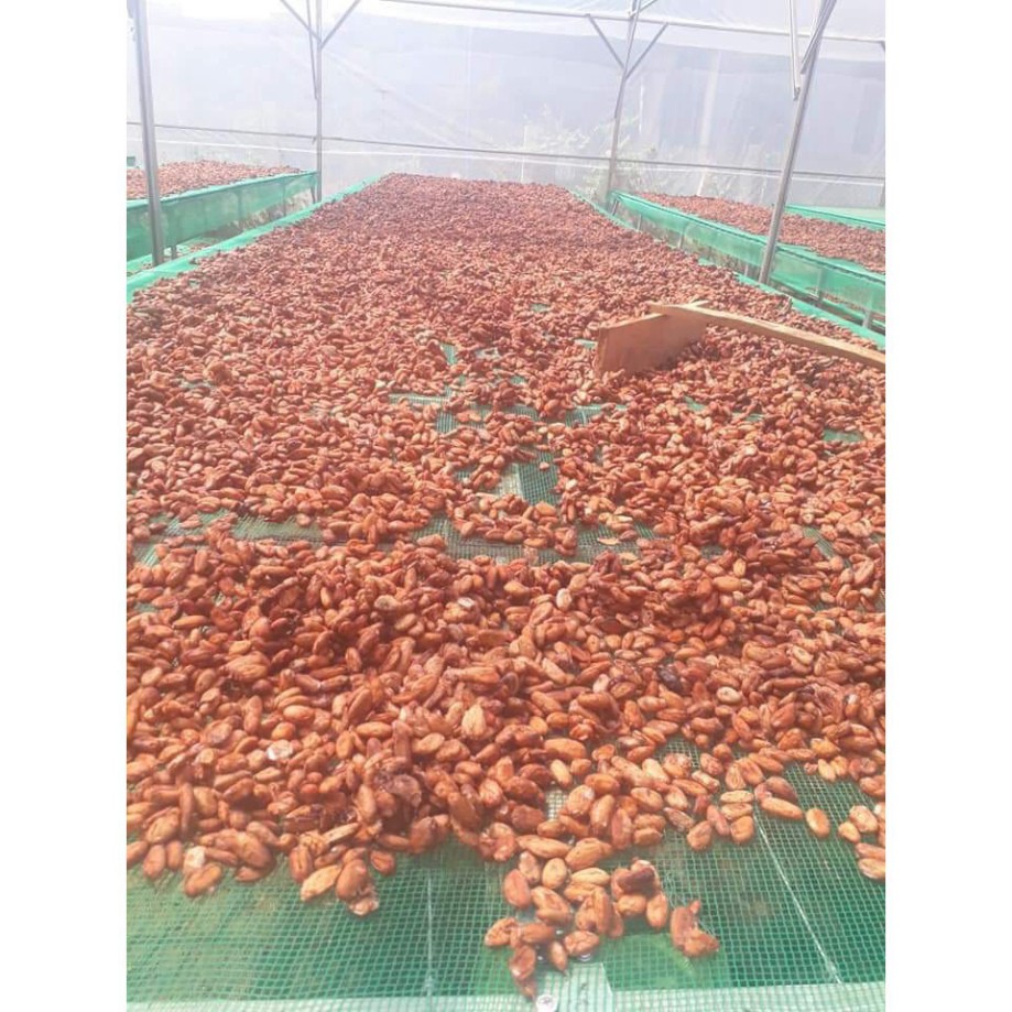 Cacao Nguyên Chất Giảm Cân 100% 💝FREESHIP💝 Bột Cacao Detox Uống Liền Thanh Lọc Cơ Thể HCM