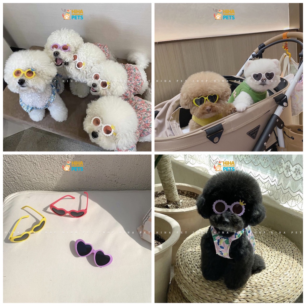 Mắt Kính Cho Chó Mèo Đi Bơi Phụ Kiện Kính Thời Trang Cho Thú Cưng Chụp Ảnh Dễ Thương Sành Điệu Hihapet.