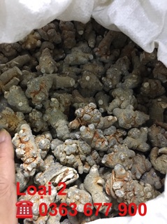 Củ tam thất ( 1kg ) uy tín chất lượng