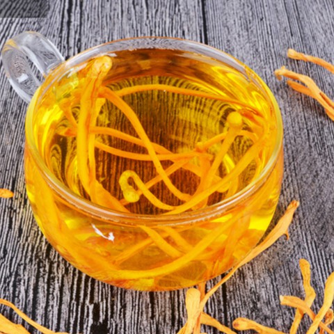 BÔNG TRÙNG THẢO Thượng Hạng Hộp 125g
