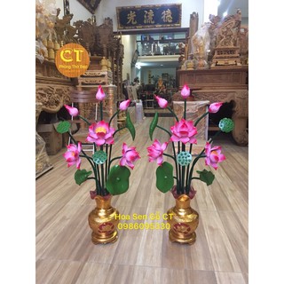 Hoa sen gỗ mít-sen hồng