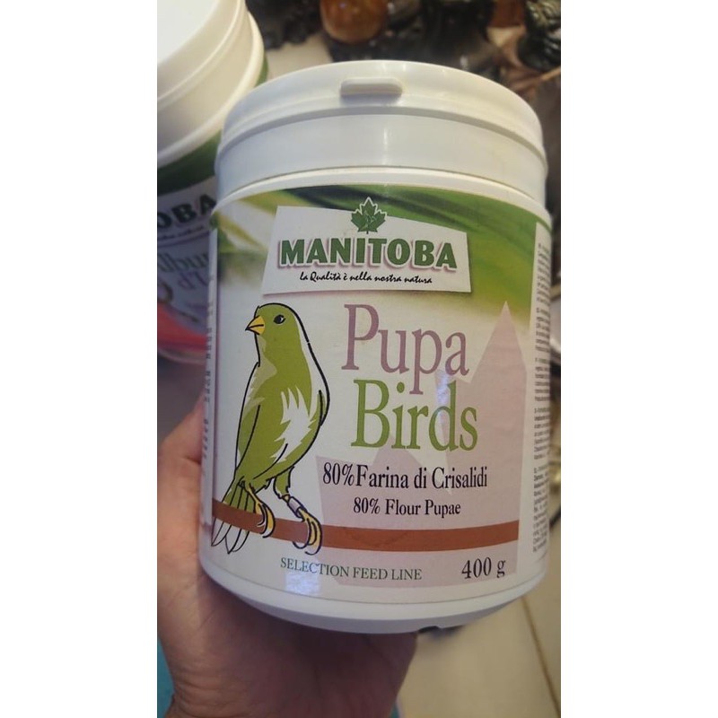 Bột nhộng tằm PUPA BIRD dành cho chi Vẹt chiết lẻ 20g,50g