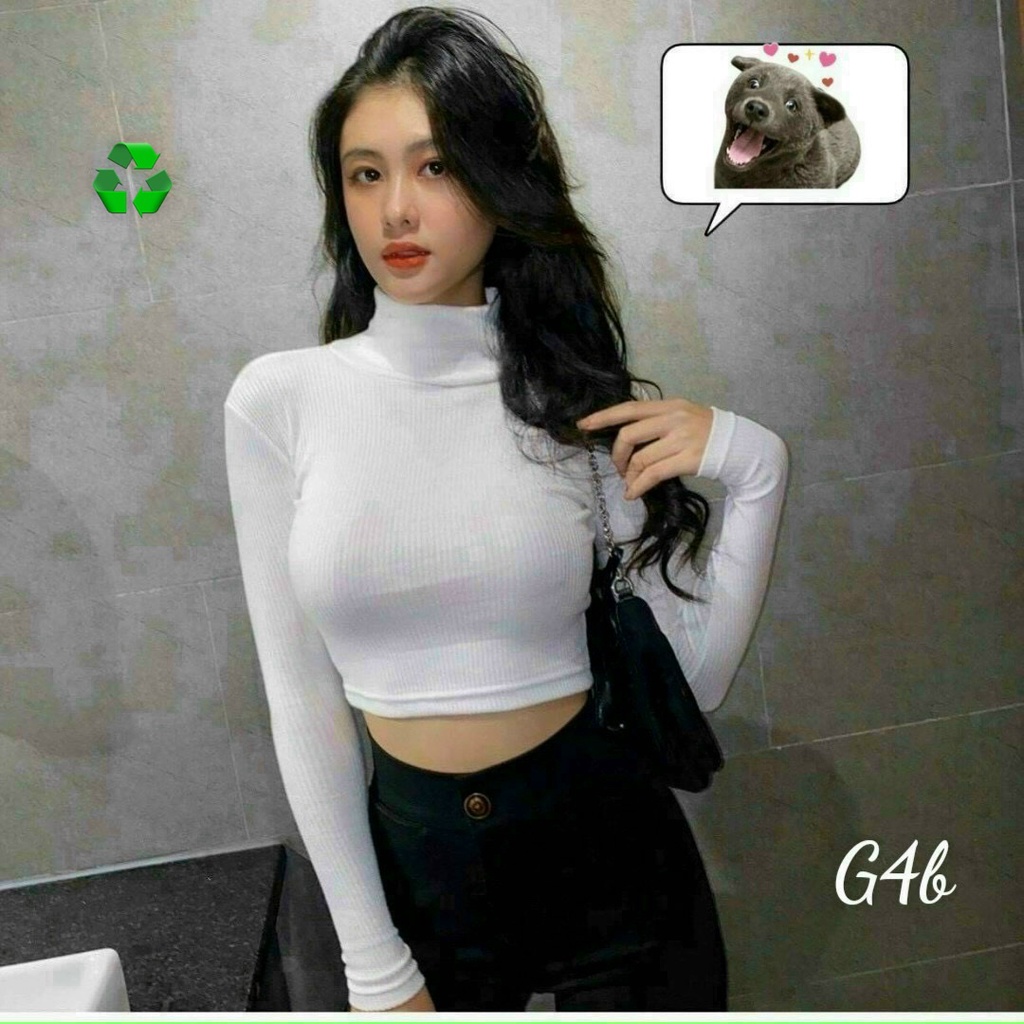 Áo thun nữ cổ lọ dáng ngắn croptop chất thun gân kiểu tay dài 42