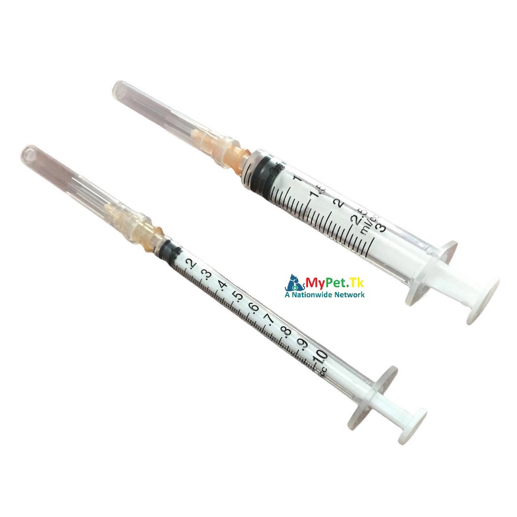 Ống Tiêm Chích Cho Thú Cưng