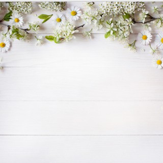 Thảm chụp hình 3D