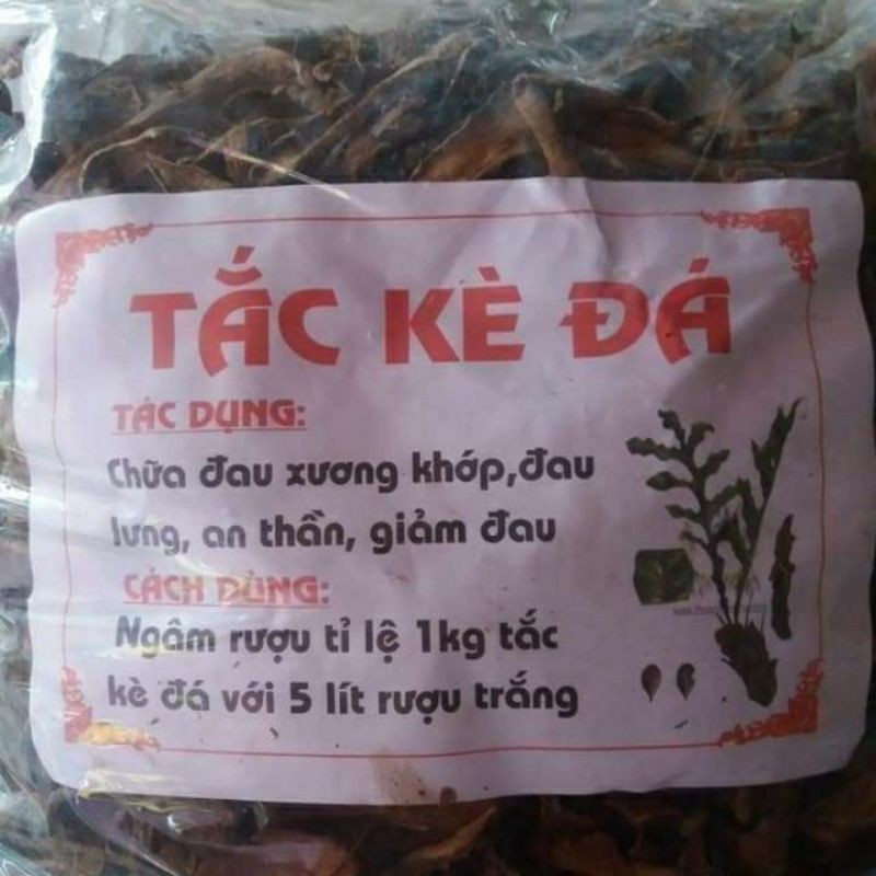 TẮC KÈ ĐÁ(thằn lằn đá 1kg)