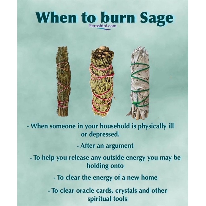 Lá Xô thơm Peru - Lá Sage