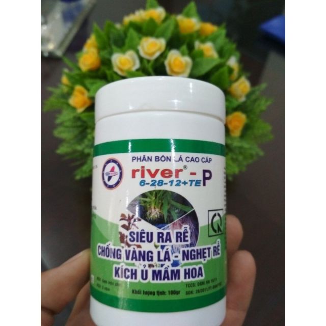 Siêu Ra Rễ - Kích Ra Rễ Cực Mạnh - Siêu Lân