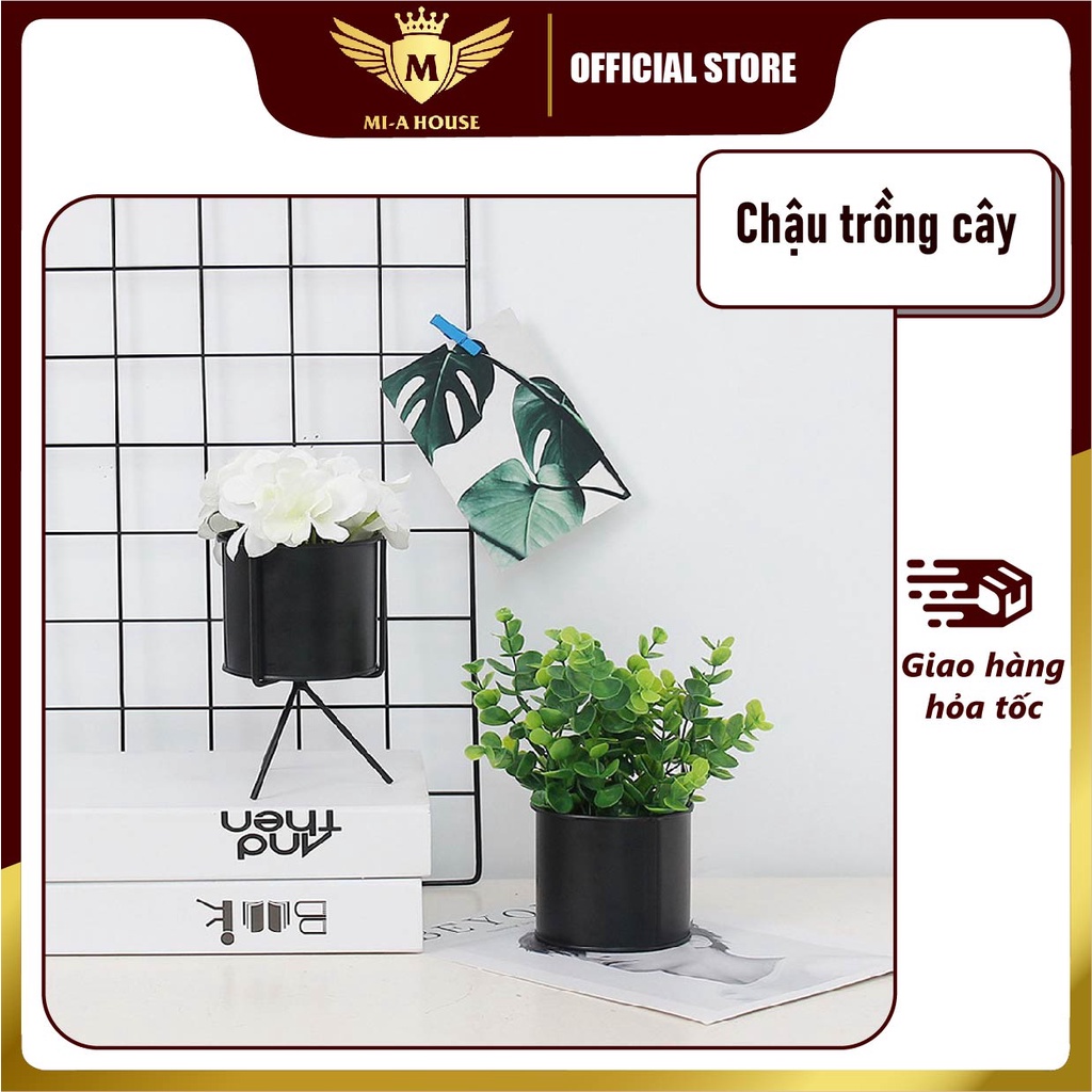Chậu trồng cây sen đá, xương rồng, cẩm nhung – Hộp trồng cây mini để bàn