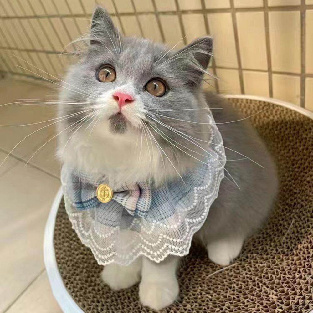 Danilo Yếm Đeo Cổ Bằng Vải Cotton Organza Họa Tiết Sọc Caro Hồng Thắt Nơ Thời Trang Dành Cho Thú Cưng