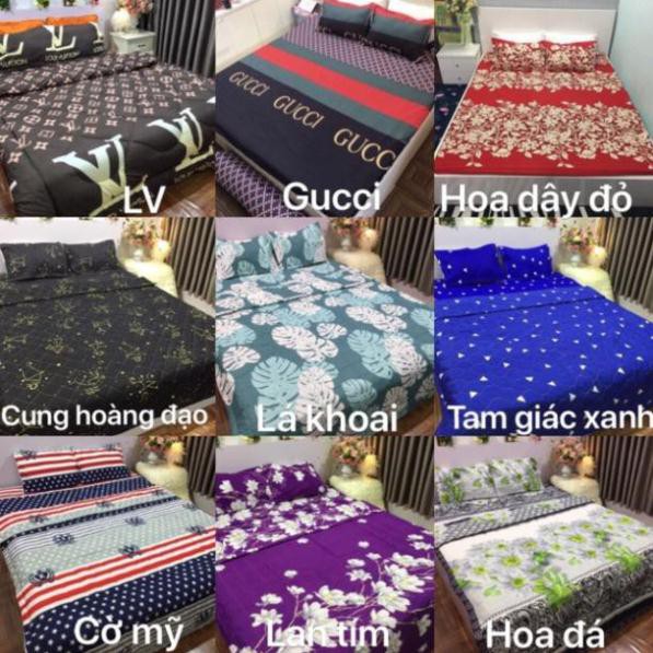 Bộ 1 Ga chun và 2 vỏ gối Cotton poly, chat chọn mẫu.