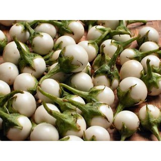 Hạt Giống Cà Pháo Trắng F1