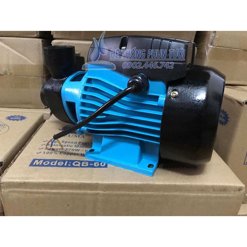 Bơm Tăng Áp Kazuma 370W