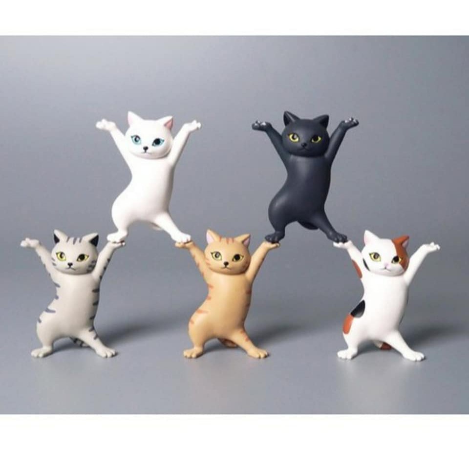 Set 5 con mèo DANCER tinh nghịch(loại 1)