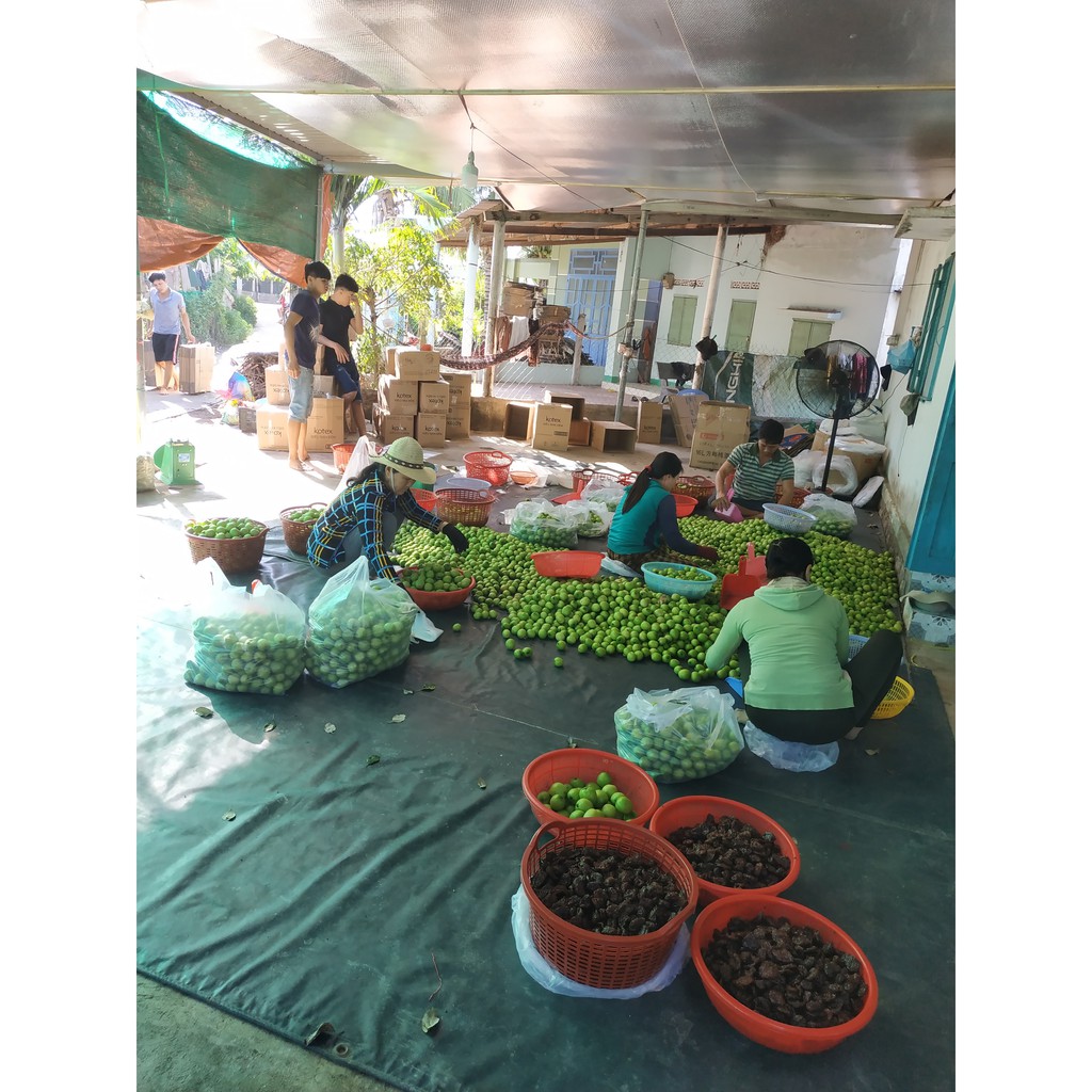 Táo Sấy - Đặc sản Phan Rang Ninh Thuận (500 gram) | BigBuy360 - bigbuy360.vn