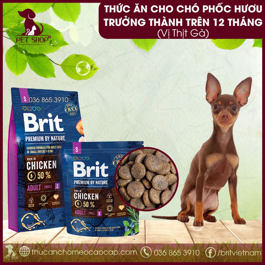 Thức Ăn Cho Chó Phốc Hươu Trưởng Thành Trên 12 Tháng Tuổi - Vị 