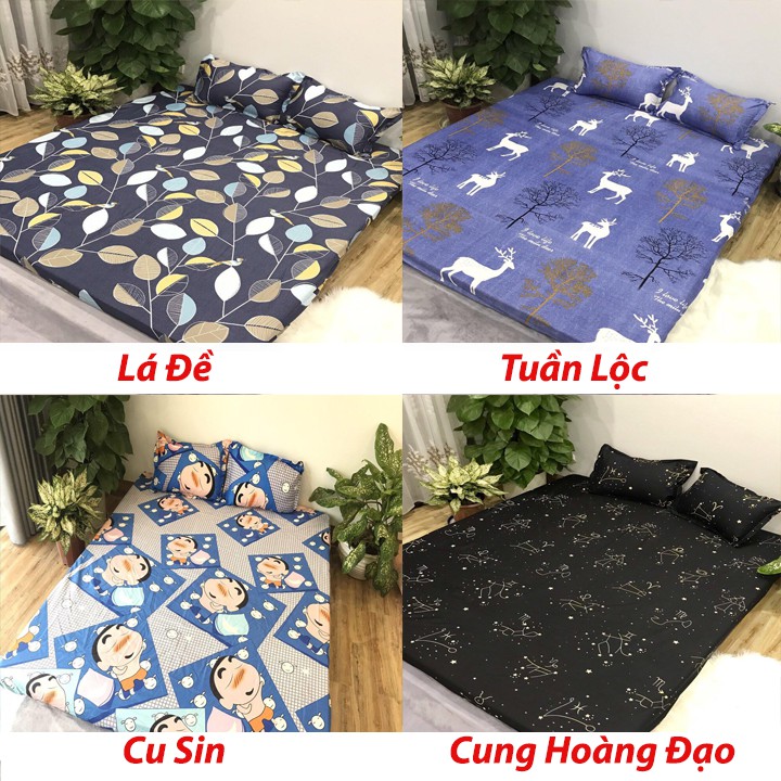 Bộ Ga gối Cotton Poly Các Mẫu Hót Nhất 2019