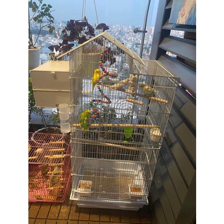 Lồng chuồng nuôi vẹt lovebird , cockatiel , greencheek , sun , ngực hồng , monk ..