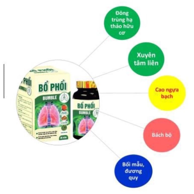 Bổ phổi BUMBLE Thải độc phổi, hỗ trợ giảm ho, giảm đờm, giảm đau rát họng, khàn tiếng