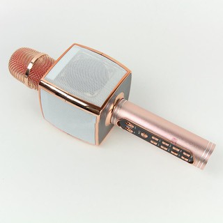 Mic karaoke loa YS-91