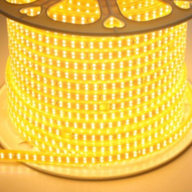 Combo 10 mét Đèn Led Dây 2835 led đôi ánh sáng trắng hoặc vàng, xanh dương