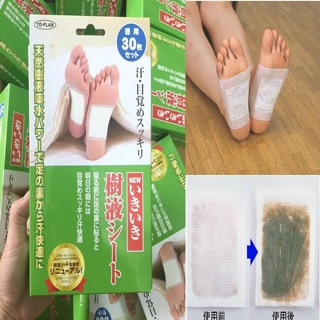 Miếng Dán Thải Độc Chân Kenko 30 Miếng