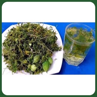 Dây khổ qua rừng ( mướp đắng rừng )