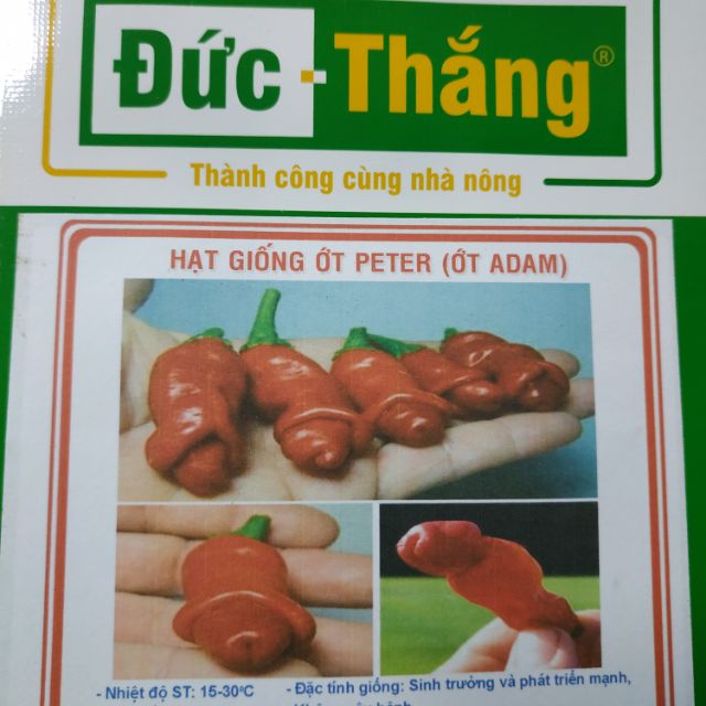 Hạt giống ớt Cu tí