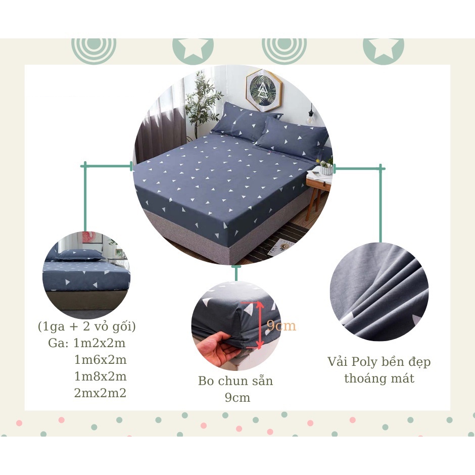 Bộ Ga Gối, Ga Giường + 2 Vỏ Gối Poly Cotton M6. M8. M2. Nhiều Mẫu Tùy Chọn, Bo Chun Miễn Phí - MinBedding